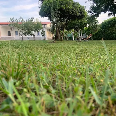 Aragon 레 카스텔라