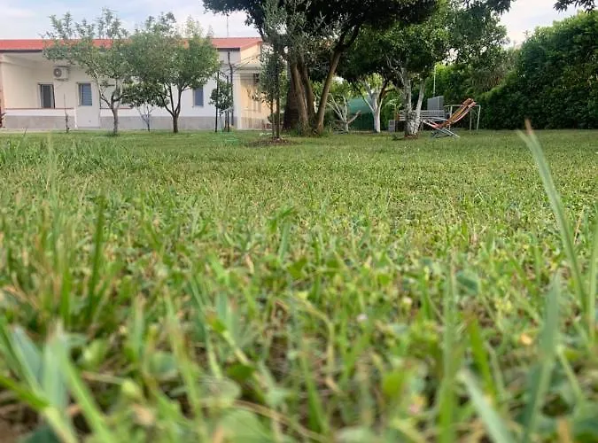 Aragon Le Castella (Calabria)